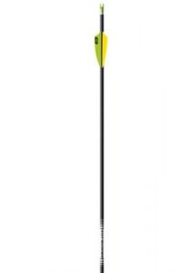 10 Flèches Easton A/C/C 3-28 500 Pour Arc Classique – Précision Et Performance