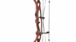 Poleas HOYT RX-10 ULTRA LD  <35