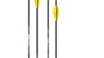 Tubo Flecha EASTON X10 Parallel Carbon/Alu Olimpico 19,51€/U